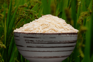 Non-Basmati Rice